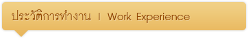 ประวัติการทำงาน | Work Experience
